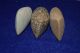 3 Medium Sized Hard Stone Celts From The Sahara Neolithic,  Over 2.  5 Inches Long Neolithic & Paleolithic photo 3