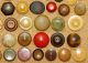 Antique Vintage Vegetable Ivory Tagua Nut Carved Buttons Buttons photo 4