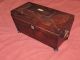 Antique Rosewood Sarcophagus Treen Wood Tea Caddy C1830 Boxes photo 6