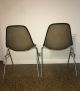 Eames Herman Miller Dss Shell Chairs Alexander Girard Vintage Mid-Century Modernism photo 6
