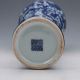Chinese Blue And White Porcelain Hand - Painted Fish Vase W Qianlong Mark G045 Vases photo 6
