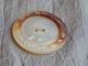 Antique Vintage Button Carved Mother Of Pearl Abalone Shell 028 - A Buttons photo 2