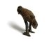Rare Antique African Bronze Ashanti Gold Weight A Bird Sculptures & Statues photo 2