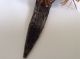 Vintage Papua Guinea Cassowary Bone Dagger Figural Head Pacific Islands & Oceania photo 1