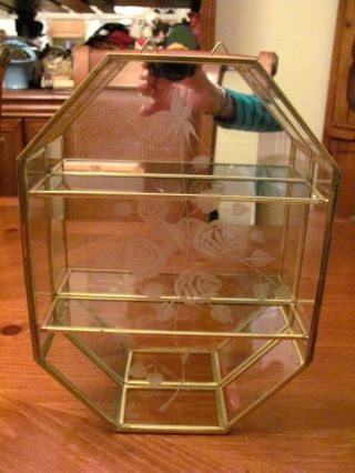 Vtg Glass & Brass Mirror Back Wall Display Case W/rose Floral Etching On Door photo