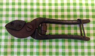 Vintage Cut An Hold Patented Small Parrot Beak Garden Secateurs Snips Topiary photo