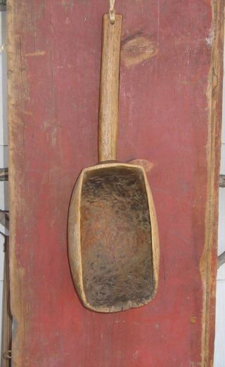 Early Antique Prim Huge Treen Ladle Scoop Carved One Piece Wood Native American? photo