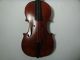 Antique French Charotte A Paris Violin 4/4 Tiger Maple & Spruce 2 Bows Gsb Case String photo 1