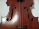 Antique French Charotte A Paris Violin 4/4 Tiger Maple & Spruce 2 Bows Gsb Case String photo 5