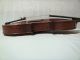 Antique French Charotte A Paris Violin 4/4 Tiger Maple & Spruce 2 Bows Gsb Case String photo 7