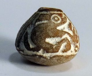 Pre - Columbian Brown Unknown Animal Bead.  Guaranteed Authentic. photo