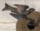 Antique Victorian Sewing Bird Clamp Holder With Velvet Pin Cushion Pin Cushions photo 1