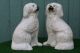 Pair 19thc Staffordshire Seated White,  Gilt & Lustre Spaniel Dogs C1880s Figurines photo 7