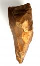 Large Acheulean Flint Stone Nosed Adze Hand Axe Neanderthal Paleolithic Tool Neolithic & Paleolithic photo 2