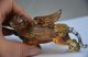 Exquisite Chinese Coloured Glaze Hand Carved Tiger Snuff Bottle Snuff Bottles photo 2
