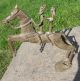 Big African Baule Dogon Bronze Horseman Cast Horse Ride Horse Africa Statue 4lb, Sculptures & Statues photo 2