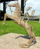 Big African Baule Dogon Bronze Horseman Cast Horse Ride Horse Africa Statue 4lb, Sculptures & Statues photo 4