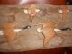 Vtg Antique Wood Carved Canadian 4 Geese Painted Goose Folk Art Wall Hanging Carved Figures photo 3