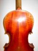 Vintage Old Antique Curly Maple 2 Pc.  Back Full Size Violin - String photo 1