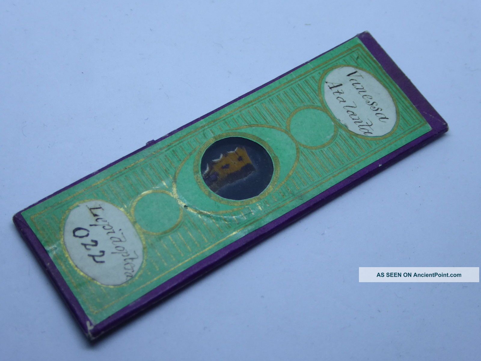 Antique Paper Covered Microscope Slide - Vanessa Atalanta Butterfly Wing - Ref10 Other Antique Science Equip photo