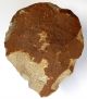 327 Gram Acheulean Flint Hand Axe Neanderthal Paleolithic Tool Neolithic & Paleolithic photo 1