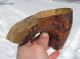 Antique Indian Canoe Cup Hand Carved Rare Native American photo 3
