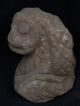 Ancient Stone Lion Head Gandhara/gandharan 100 Ad Stn214 Roman photo 1
