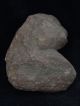Ancient Stone Lion Head Gandhara/gandharan 100 Ad Stn214 Roman photo 3