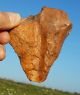 Flint Natural Stone Resemble Hand Axe Tool Neanderthal Paleolithic Mousterian Neolithic & Paleolithic photo 3