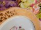 5 Antique Paris Porcelain Plates Peach Bands Hand Painted Flowers Gold Plates & Chargers photo 1