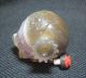 Traditional Chinese Agate Carve Pomegranate Design Snuff Bottle Snuff Bottles photo 3