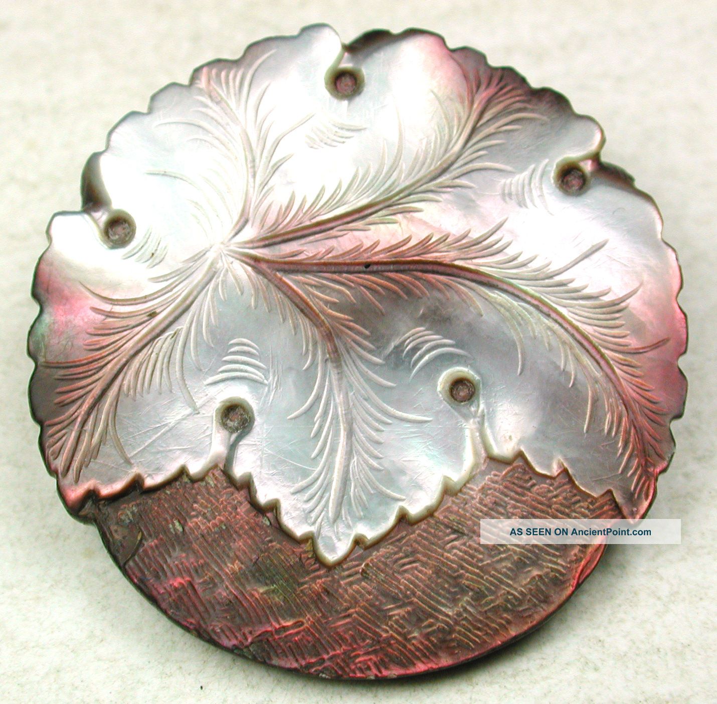 Antique Carved Iridescent Shell Button Detailed Leaf Design 1 & 3/16 