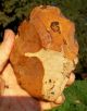 497gr Large Acheulean Flint Hand Axe Neanderthal Paleolithic Neolithic & Paleolithic photo 4