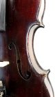 Historically Important Antique American Violin,  Andrew Hyde,  Northampton Ma 1902 String photo 5