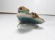 Antique Karl Ens Germany Small Porcelain Gold Green Colored Butterfly Figurine Figurines photo 5