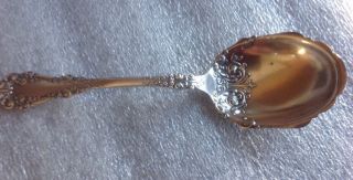 Vintage 1847 Rogers Bros A1 Silver Plate Berkshire Ornate Berry/sugar Spoon photo