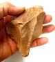 217 Gram Acheulean Flint Hand Borer Neanderthal Paleolithic Awesome Neolithic & Paleolithic photo 2