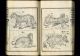 Hakubutsu Shinpen Yakukai Japanese Woodblock Print Textbook Western Science 1874 Prints photo 3