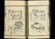 Hakubutsu Shinpen Yakukai Japanese Woodblock Print Textbook Western Science 1874 Prints photo 5