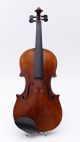 Rare Master Nicolaus Amatus Fecit Antique Old Violin Violin0 Violine Viola String photo 2