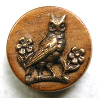 Antique Button Perched Brass Owl On A Wood Back - 9/16 