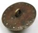 Antique Brass Button Dimensional Boxer Dog Head W/ Cut Steel Border - 15/16 
