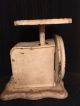 Antique Pelouze Family Scale 24 Lbs - Kitchen Vintage 100 Years Old Scales photo 2