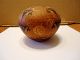 Native American Zia Pueblo Hand Coiled Seed Pot Pottery By Ralph Aragon.  Signed Native American photo 1