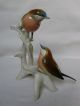 Robin Pair Bird Decoration Figurine Germany Karl Ens Figurines photo 2