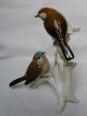 Robin Pair Bird Decoration Figurine Germany Karl Ens Figurines photo 3