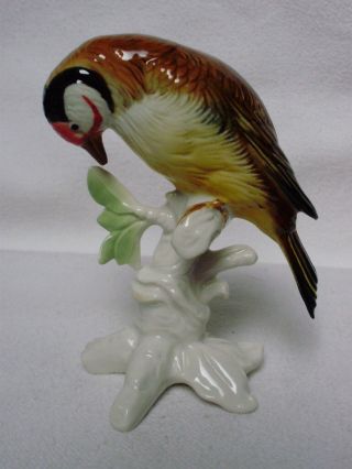 Goldfinch Finch Bird Decoration Figurine Germany Karl Ens photo