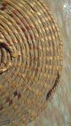 Cherokee Indian Primitive Sweet Grass Coil Basket With Lid Primitives photo 7