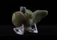 Pre Columbian Style Carved Stone Bird Amulet Pendant - Antique Sculpture - Maya - 124 The Americas photo 1