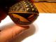 Native American Acoma Pueblo Miniature Seed Pot By Kim ' A ' Aits ' A.  Signed.  Repaired Native American photo 9